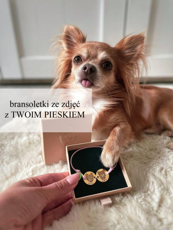 Bransoletka z dwoma pieskami ze zdjęcia